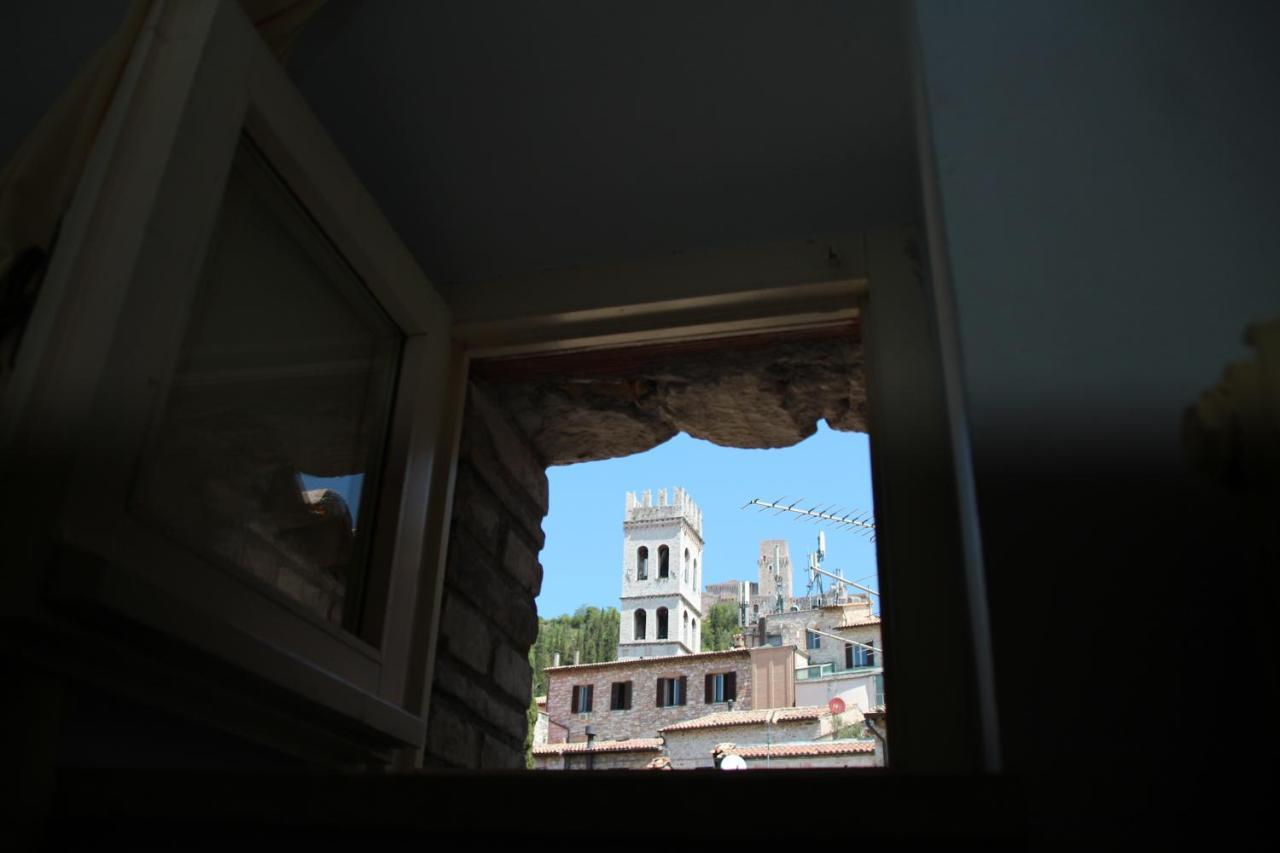 Pax Assisi
